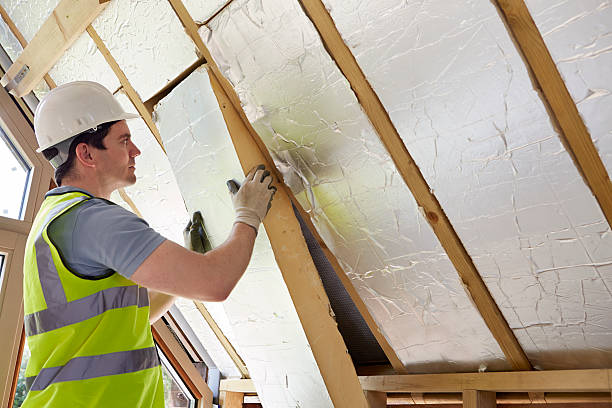 Best Eco-Friendly or Green Insulation Solutions  in Mlstadt, IL